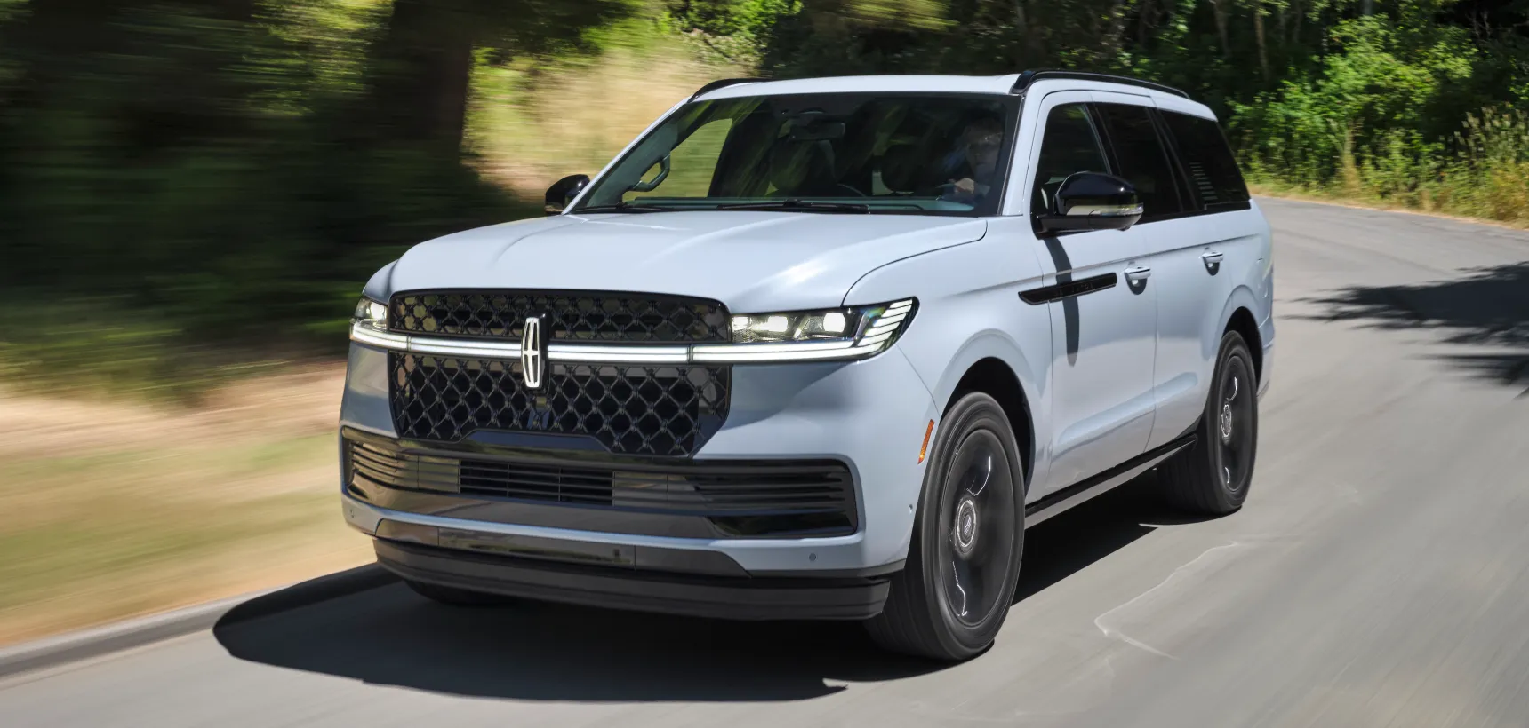 Lincoln Navigator Grid image 1