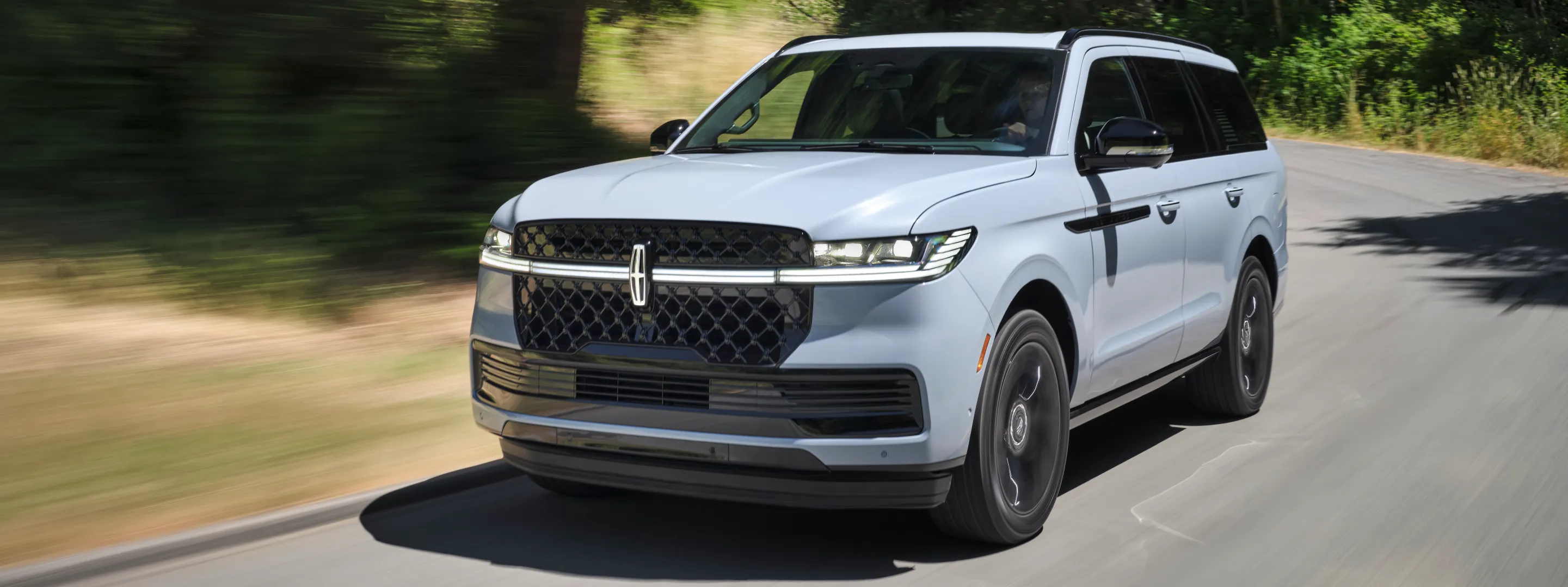 Lincoln Navigator Grid image 1